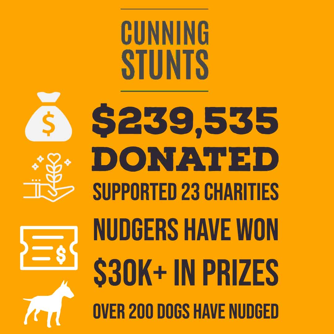 Nudge Donations Jan 2019