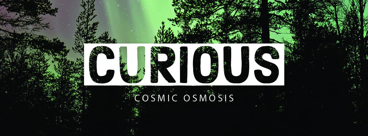 2CURIOUS_Sep2019Curious_FB_1